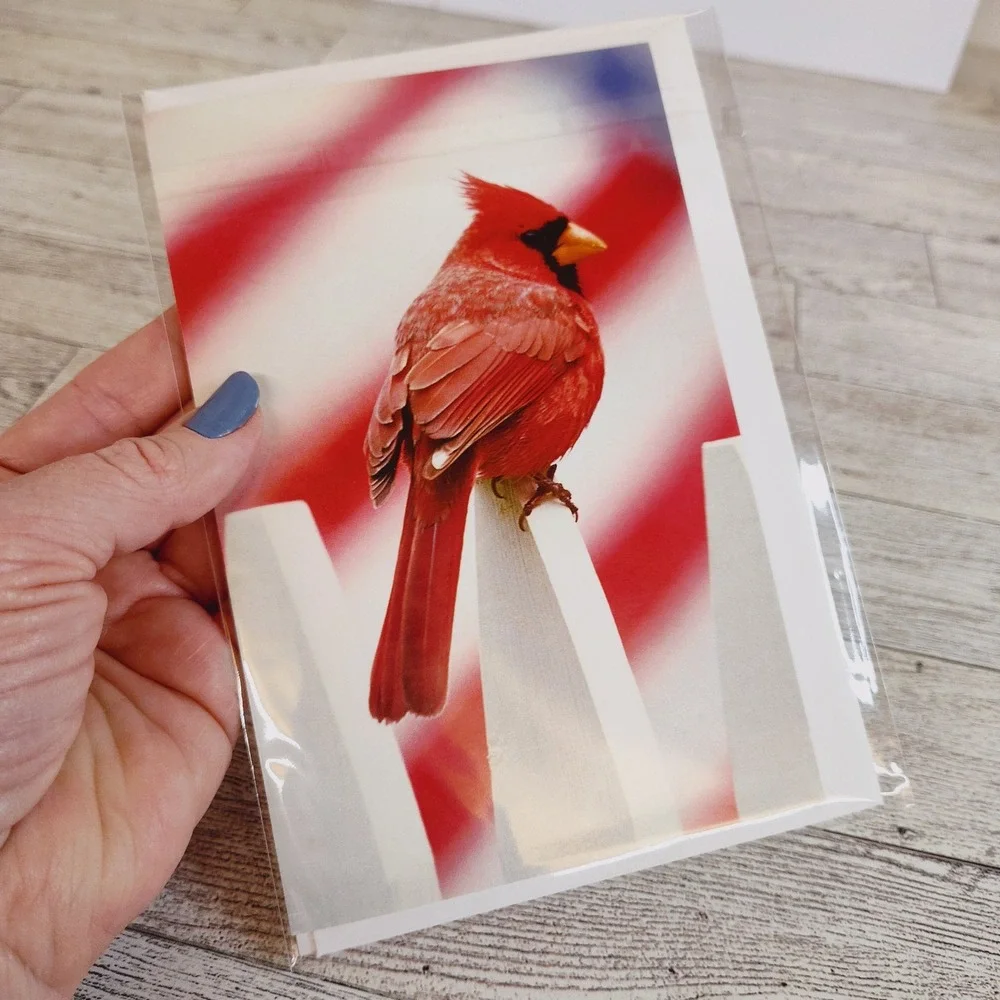 Set of two blank‎ Bird Note Cards Cardinal Goldfinch Blank Inside Stationery